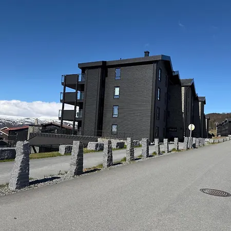 Apartment Fjellro Pa Riddertunet