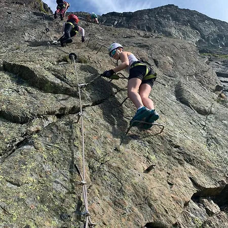 Fjellro Pa Riddertunet *