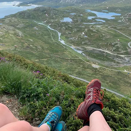 Fjellro Pa Riddertunet * Beitostolen
