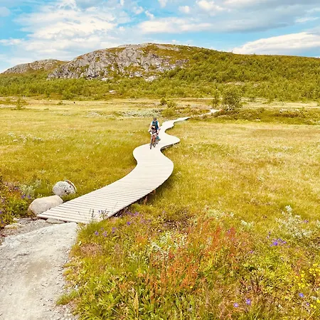 Fjellro Pa Riddertunet * Beitostolen